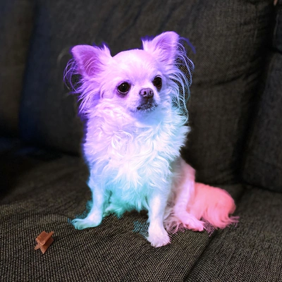 @KoyukiWolfieX's Pin Board Image