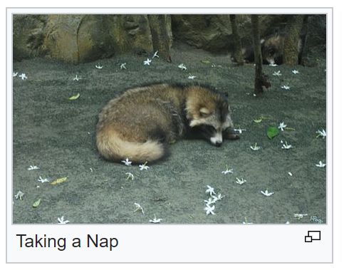 @codeus's Pin Board Image