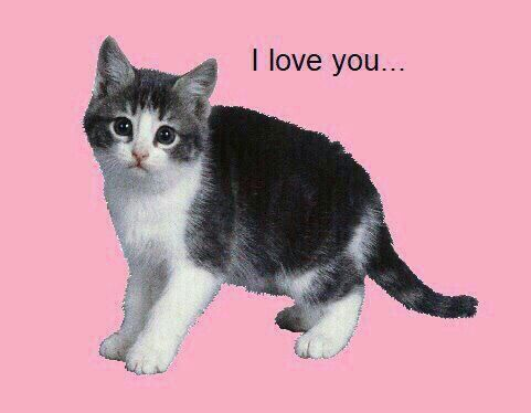 @omtai's Pin Board Image