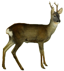 @Hella_Slava's Pin Board Image