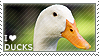 @Sonucais's Pin Board Image