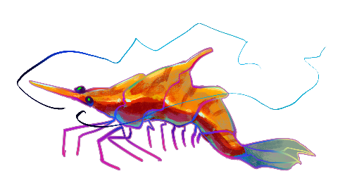 Link to: https://sheezy.art/reilon