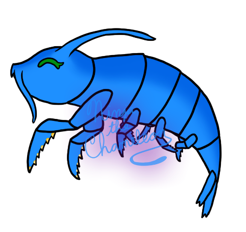 Link to: https://sheezy.art/ninjathechameleon