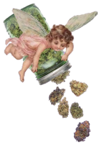 @kushbreth's Pin Board Image
