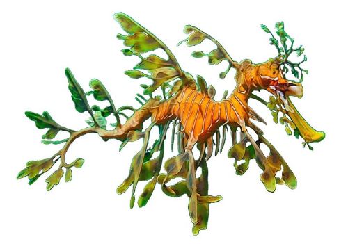 Link to: https://en.wikipedia.org/wiki/Leafy_seadragon