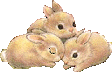 @shion's Pin Board Image