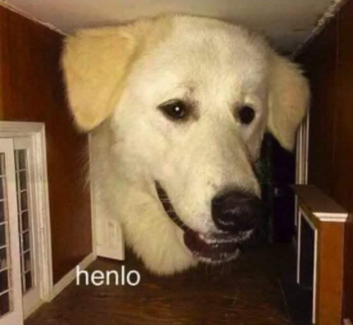 @Hu-kun's Pin Board Image