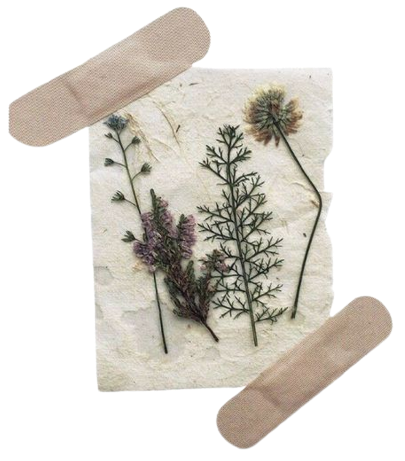 @kushbreth's Pin Board Image