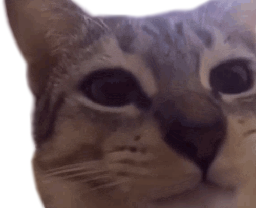 @JestinJoculators's Pin Board Image