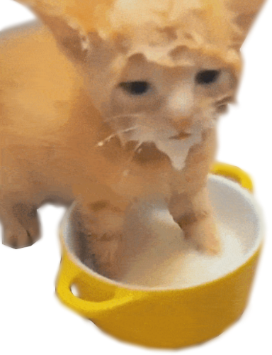 @JestinJoculators's Pin Board Image