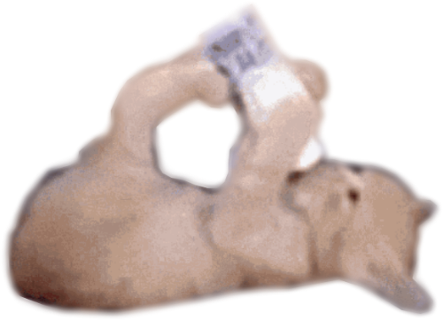 @JestinJoculators's Pin Board Image