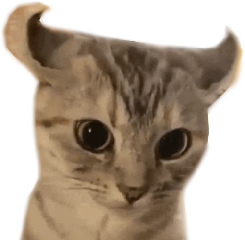 @JestinJoculators's Pin Board Image