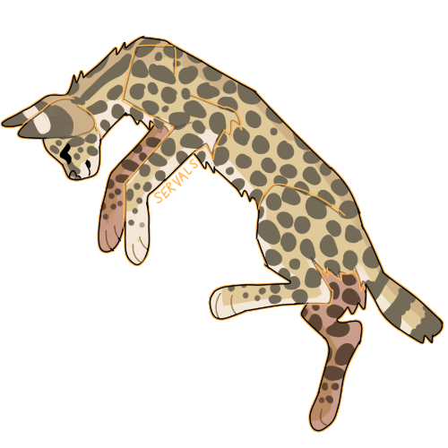 @servals's Pin Board Image