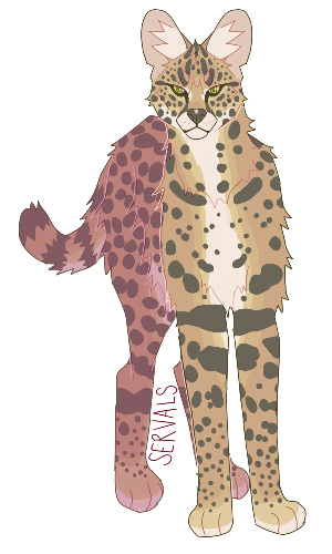 @servals's Pin Board Image