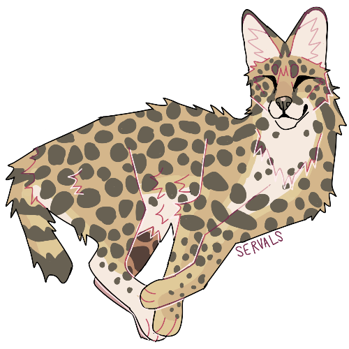 @servals's Pin Board Image