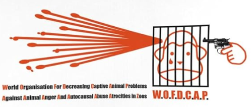 @nanoray's Pin Board Image