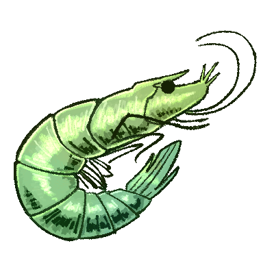 Link to: https://sheezy.art/tadpolepunch
