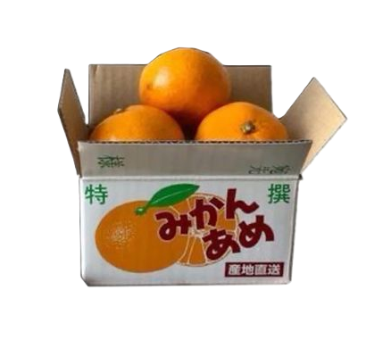 @sunscrap's Pin Board Image