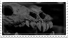 @RenFennec's Pin Board Image