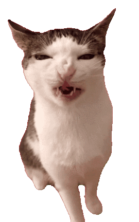 @zealsify's Pin Board Image