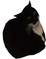 @zealsify's Pin Board Image