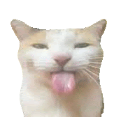 @zealsify's Pin Board Image