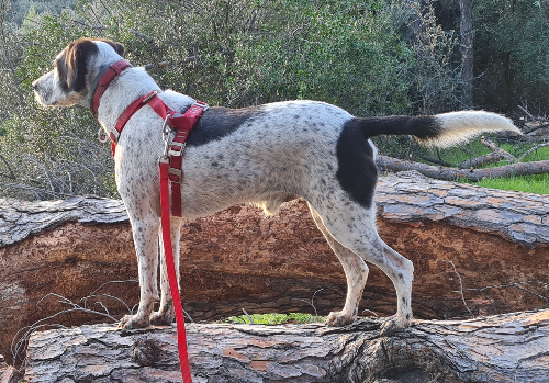 @tewro's Pin Board Image