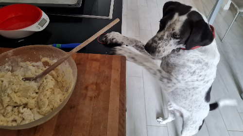 @tewro's Pin Board Image