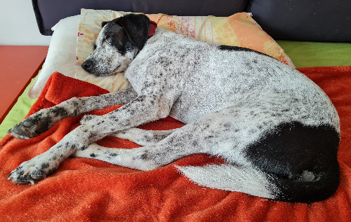 @tewro's Pin Board Image