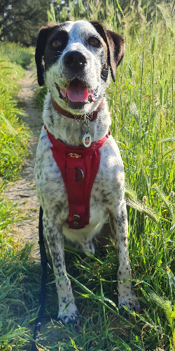 @tewro's Pin Board Image