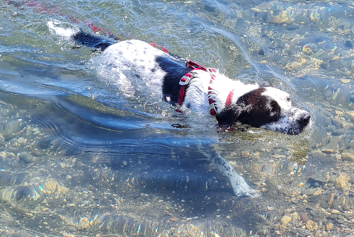 @tewro's Pin Board Image