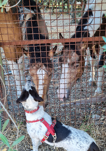 @tewro's Pin Board Image