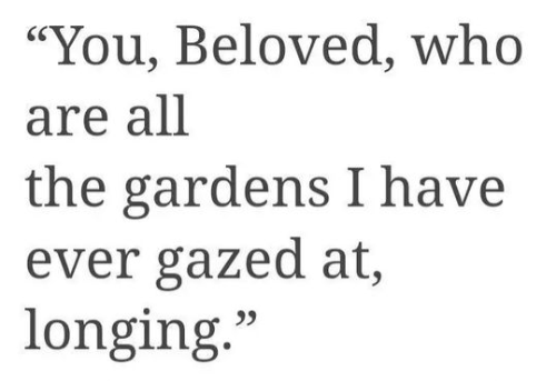 @Beetlelark's Pin Board Image