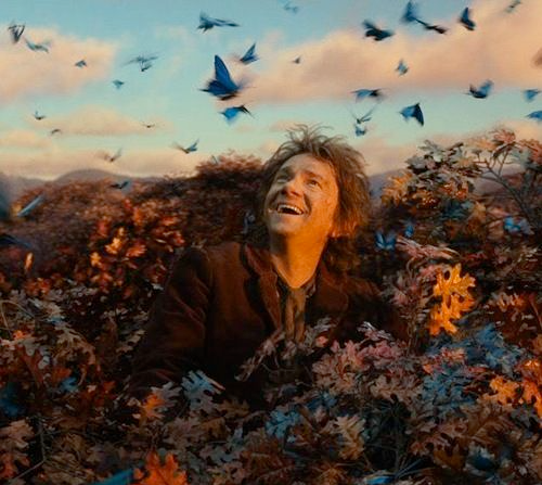 @tofuu's Pin Board Image