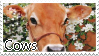 @cowboys's Pin Board Image