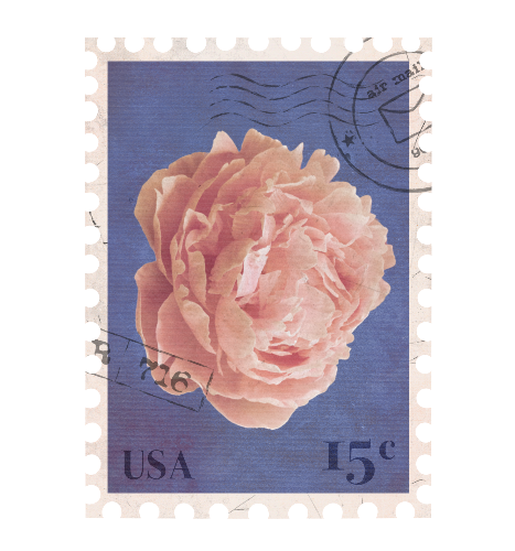 @ferryman's Pin Board Image