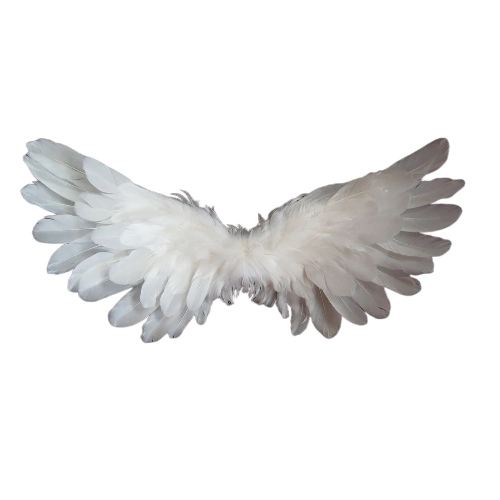 @ferryman's Pin Board Image