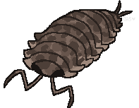 @wyrmwitch's Pin Board Image