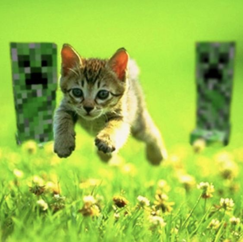 @Catbotanic's Pin Board Image