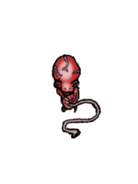 CryptidSkin's Page Doll