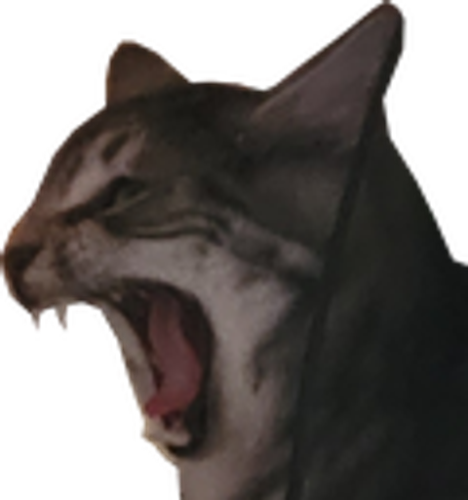 @zealsify's Pin Board Image