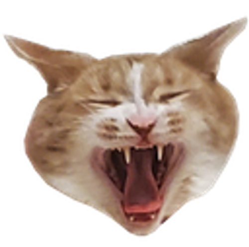 @zealsify's Pin Board Image