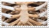 @flailuser's Pin Board Image