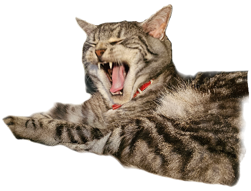 @zealsify's Pin Board Image