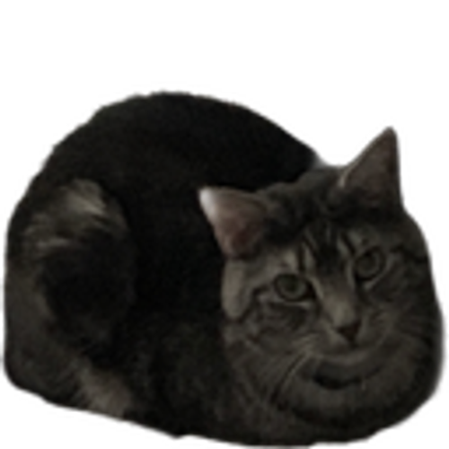 @zealsify's Pin Board Image