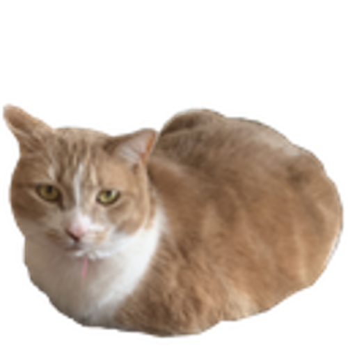 @zealsify's Pin Board Image