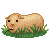@guineapig's Pin Board Image