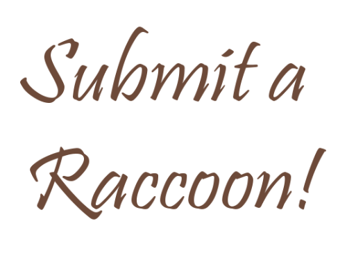 Link to: https://sheezy.art/anivethia/journal/draw-a-raccoon