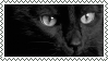 @pancakesmythie's Pin Board Image