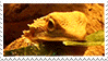 @pancakesmythie's Pin Board Image